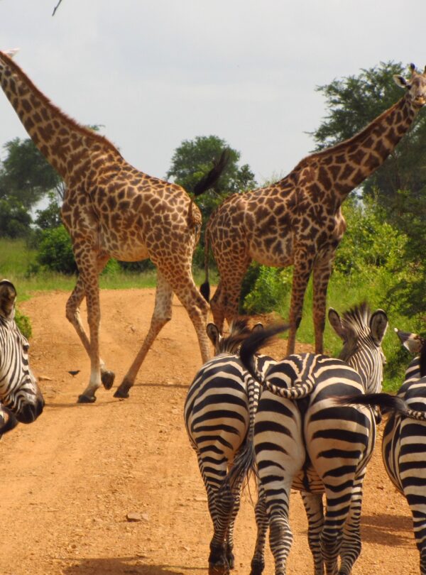 Tanzania
